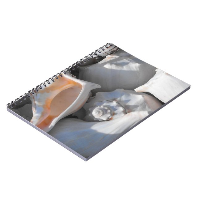 Caderno Espiral Conchas Fechadas (Left Side)