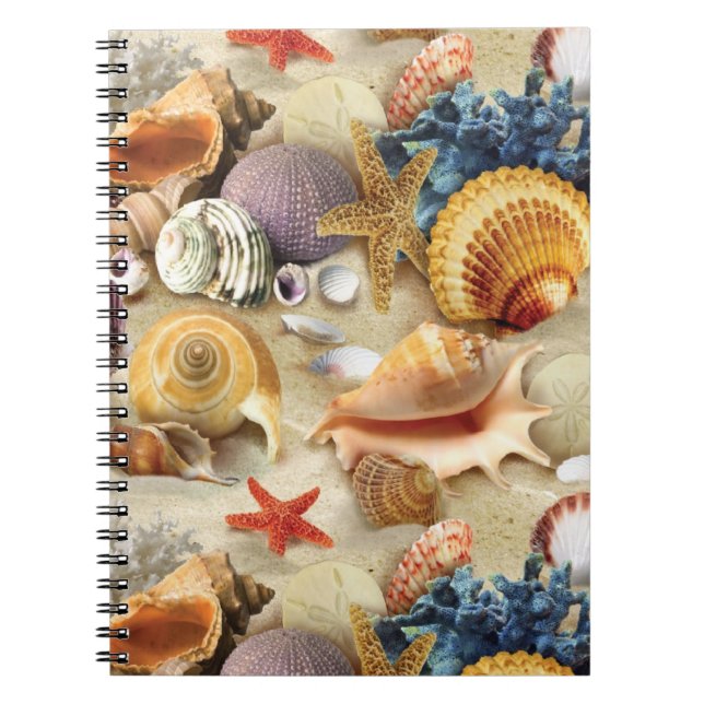 Caderno Espiral Conchas marítimas na praia (Frente)
