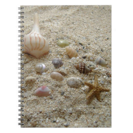 Caderno Espiral Conchas No Diário De Escrevendo Da Areia Da Praia