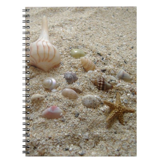 Caderno Espiral Conchas No Diário De Escrevendo Da Areia Da Praia (Frente)