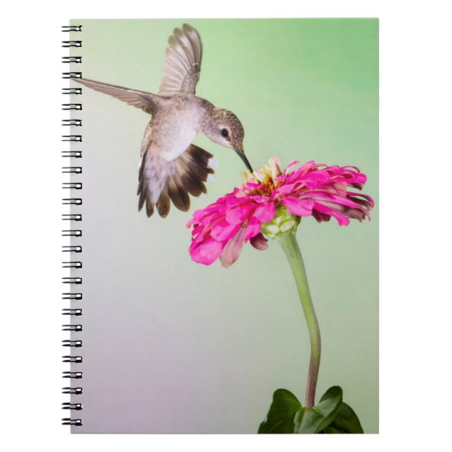Caderno Espiral Condado de Jeff Davis, Texas (Frente)