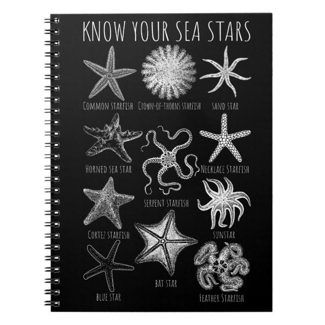 Caderno Espiral Conheça Suas Estrelas do Mar - Grupos de Starfish (Frente)