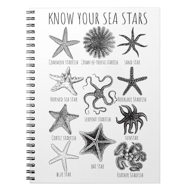 Caderno Espiral Conheça Suas Estrelas do Mar - Grupos de Starfish (Frente)
