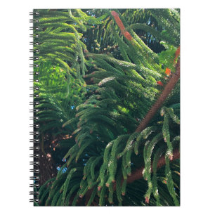 Caderno Espiral Coníferas de pinheiros-verdes