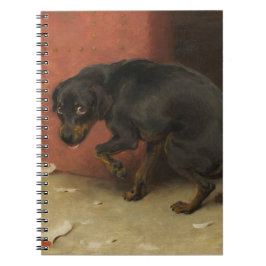 Caderno Espiral Consciência Faz Borricas De Todos Nós