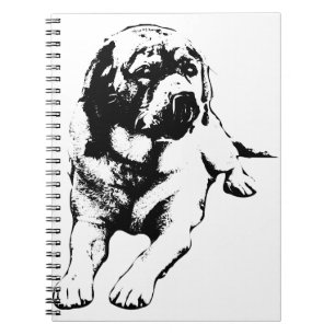 Caderno Espiral Cookies Primeiro, Notas Depois