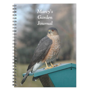 Caderno Espiral Coopers Hawk