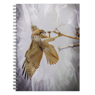 Caderno Espiral Coopers Hawk