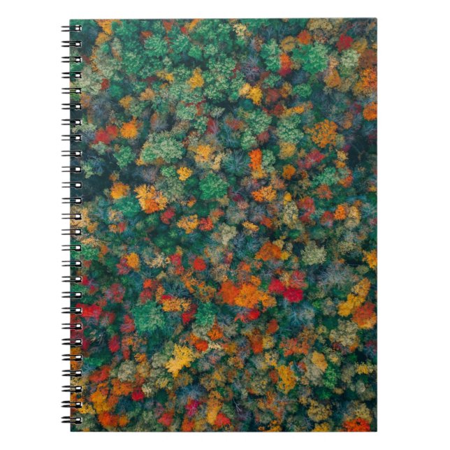 Caderno Espiral Copas Coloridas (Frente)