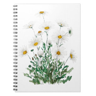 Caderno Espiral cor-de-água branca Margaret daisy