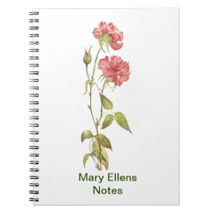 Caderno Espiral cor-de-rosa do cravo
