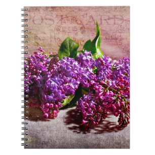 Caderno Espiral Cor do Céu