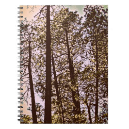 Caderno Espiral cor pelas árvores