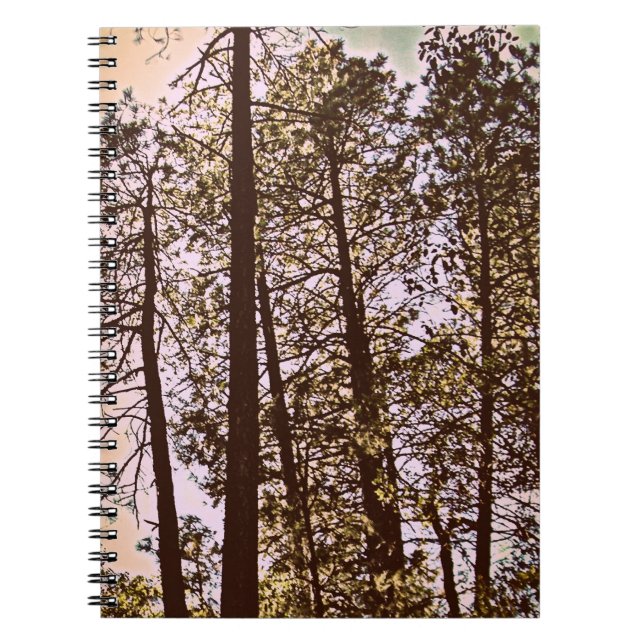 Caderno Espiral cor pelas árvores (Frente)