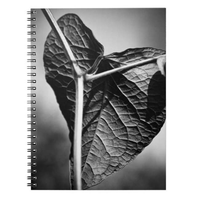 Caderno Espiral coração crucificado (Frente)