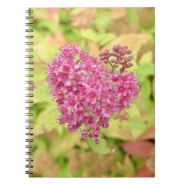 Caderno Espiral Coração Flor Natural - perfurado pela seta.