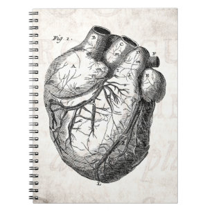 Caderno Espiral Corações cardíacos retros da anatomia do coraç