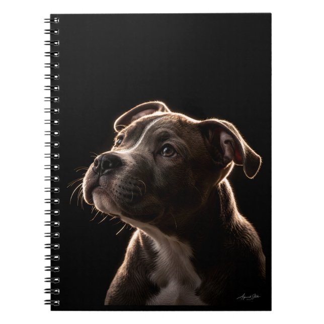 Caderno Espiral Corajoso (Frente)