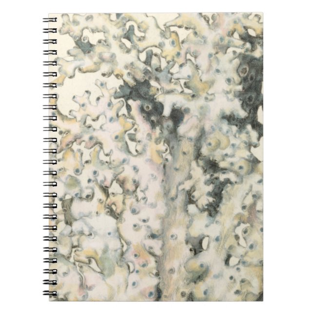 Caderno Espiral Coral de Aquarela Antiquada (Frente)