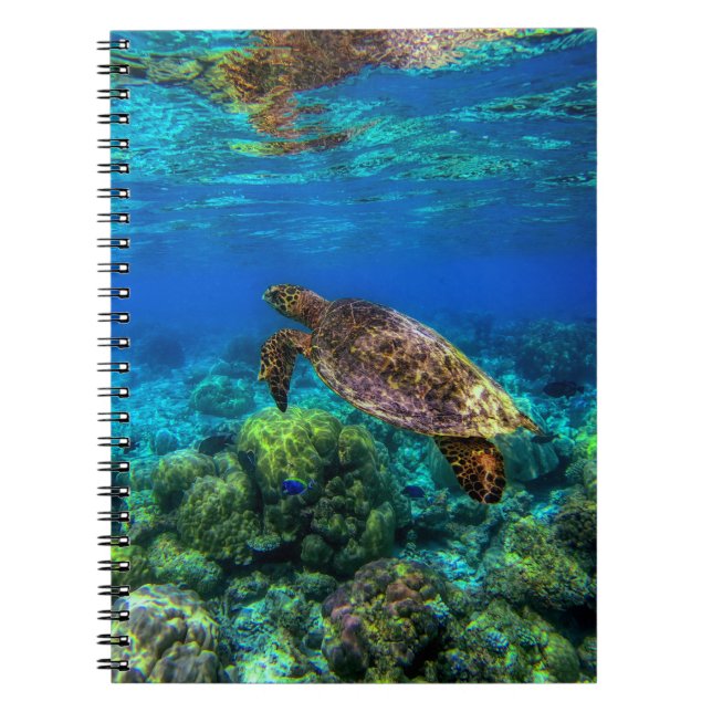 Caderno Espiral Coral de Tartaruga do Mar Tropical (Frente)