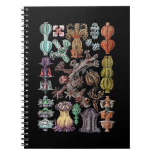 Caderno Espiral Coral e esponjas do mar Colorido de Gorgonídeos