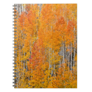 Caderno Espiral Cores de outono em Aspen Groves