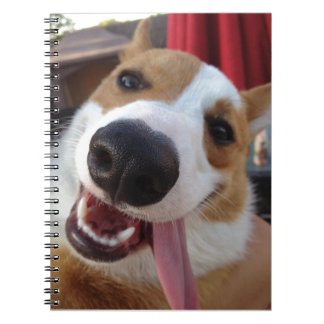 Caderno Espiral Corgi vermelho e branco de Galês do Pembroke