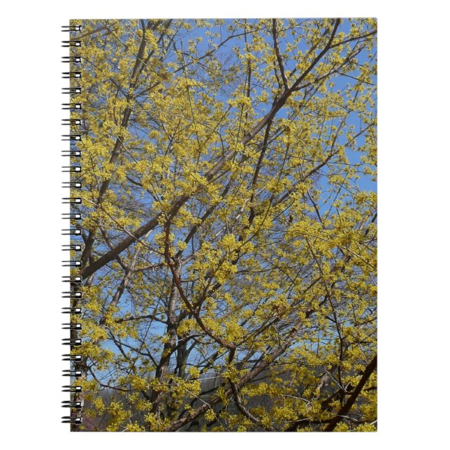 Caderno Espiral Cornelian Cherry Dogwood e Blue Sky Floral (Frente)