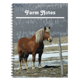 Caderno Espiral Coroa Belga: Notebook Espiral De Paddock