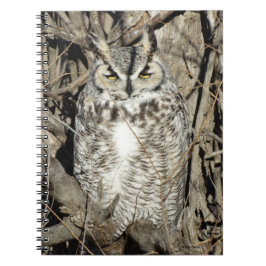 Caderno Espiral Coroa Excelente B51