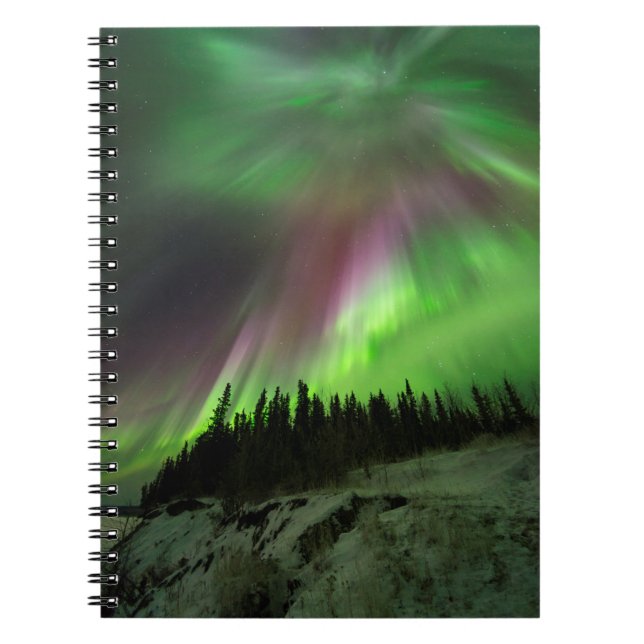 Caderno Espiral Corona Aurora (Frente)