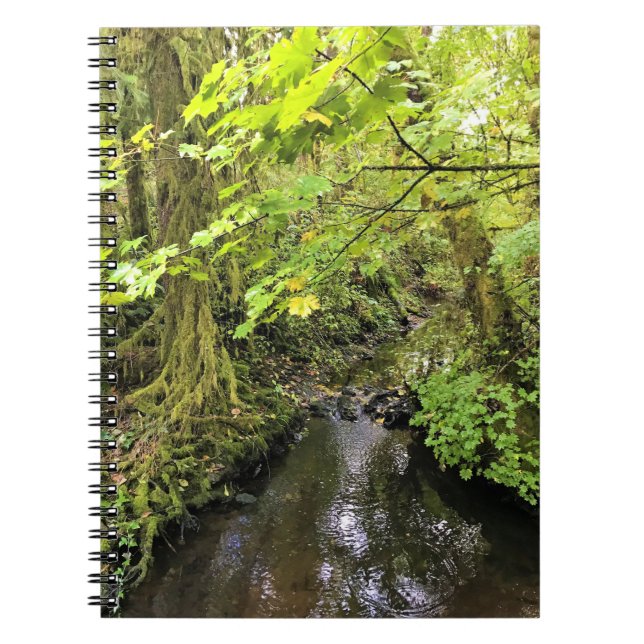 Caderno Espiral Corral Creek, Oregon (Frente)