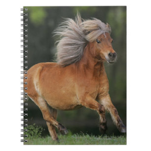 Caderno Espiral Corredor diminuto do cavalo