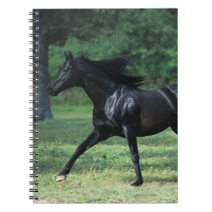 Caderno Espiral Corredor do puro-sangue