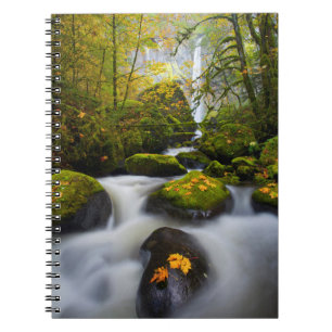 Caderno Espiral Córrego McCord Bigleaf Maple Columbia Gorge, OR