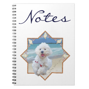 Caderno Espiral Correndo Livre