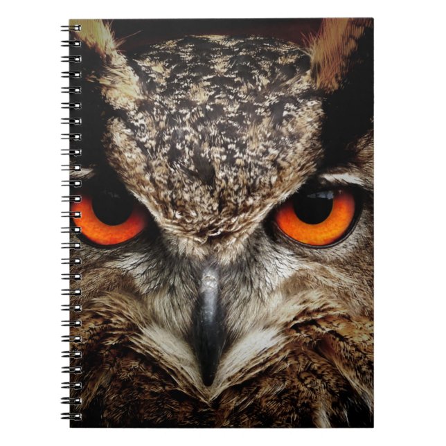Caderno Espiral Coruja (Frente)