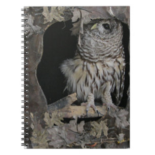 Caderno Espiral Coruja Barred - Aqui está Olhando para você!