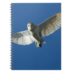 Caderno Espiral Coruja-buraqueira em Voo Diurno