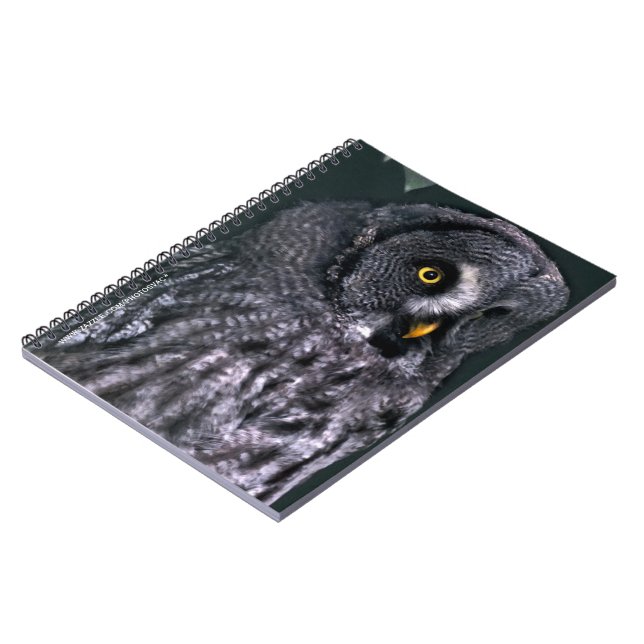 Caderno Espiral Coruja Cinzenta Grande (Left Side)