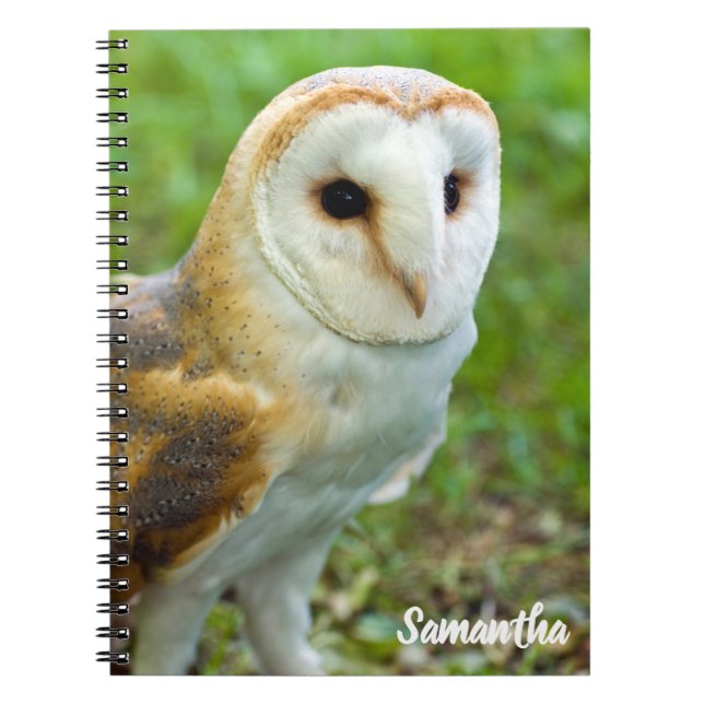 Caderno espiral Coruja-das-torres (Frente)