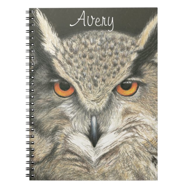 Caderno Espiral Coruja excelente (Frente)