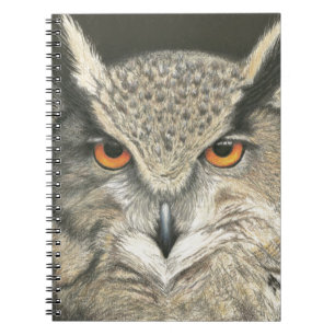 Caderno Espiral Coruja Excelente