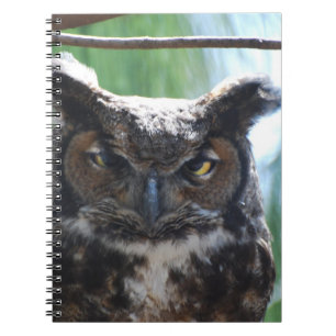 Caderno Espiral Coruja orelhuda longa sábia