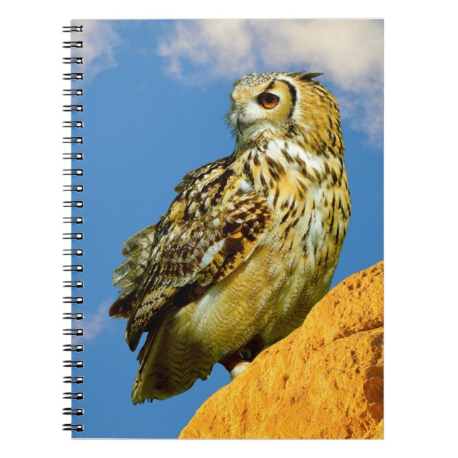 Caderno Espiral coruja-real-europeia (Frente)
