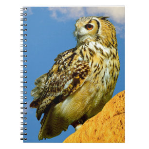 Caderno Espiral coruja-real-europeia
