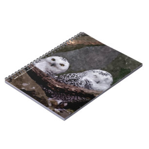 Caderno Espiral Corujas Cutes