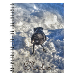 Caderno Espiral Corvo Negro em Foto de Neve