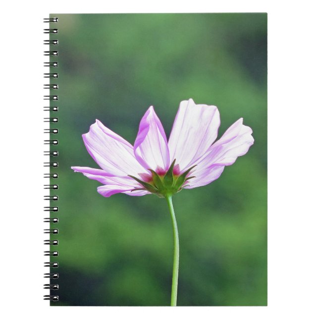 Caderno Espiral Cosmos (Frente)