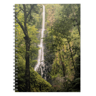 Caderno Espiral Costa Rica, Ilha do Coco, Cachoeira da Baía Wafer
